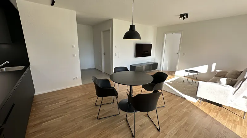 Living and dining area